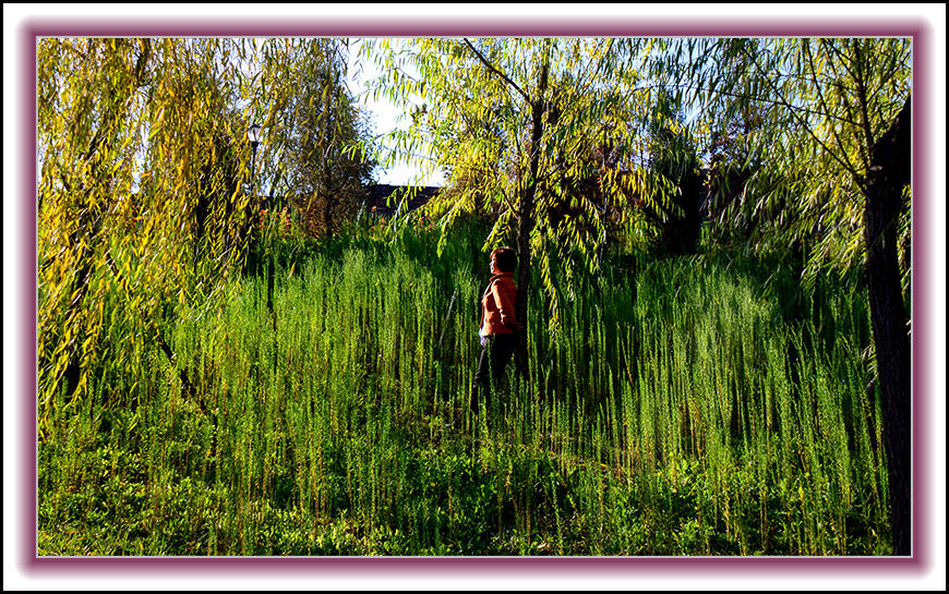 20131010ëɽƬ 000154.jpg