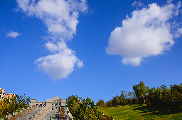 20131116Ƭ 11017.jpg
