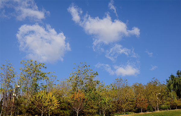 20131116Ƭ 001019.jpg