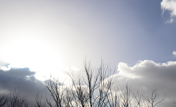 20131116ƵƬ 11011.jpg