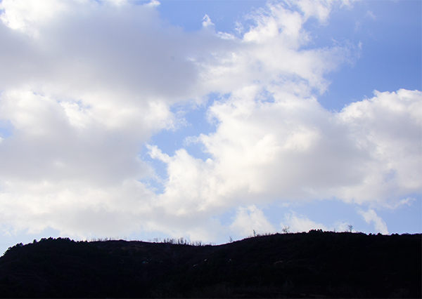 20131116Ƭ 11005.jpg