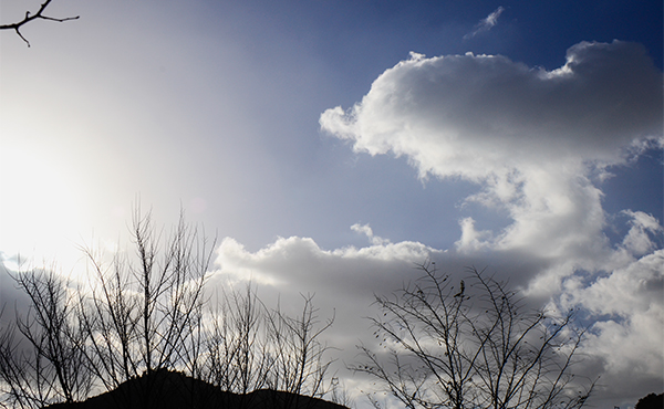 20131116Ƭ00 1012.jpg