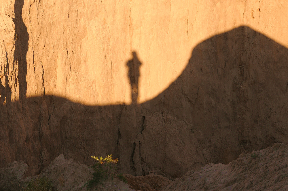 Ӱ4.jpg