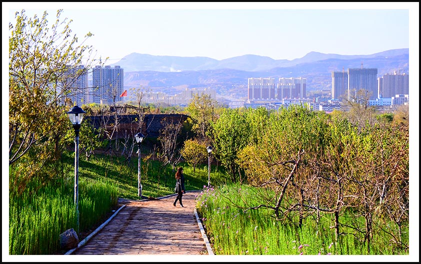 20131010ĶɽƬ00128.jpg