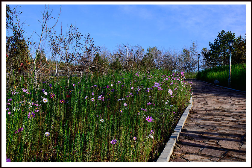 20131010ĶɽƬ 120.jpg