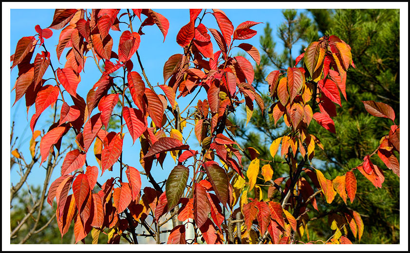 20131010ĶɽƬ0133.jpg