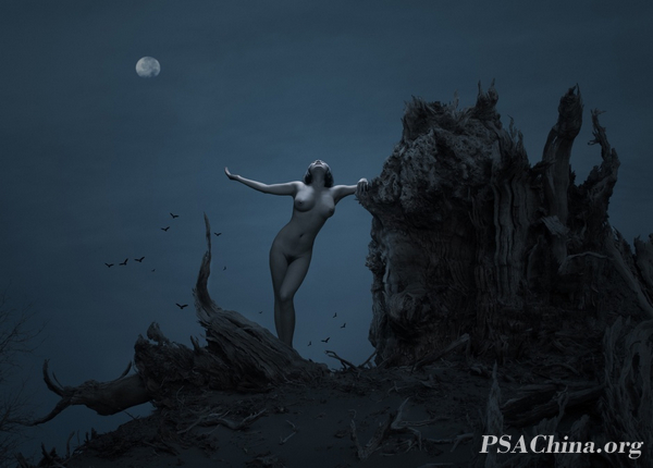01.2013µӰ(Photo Art Championship 2013).jpg