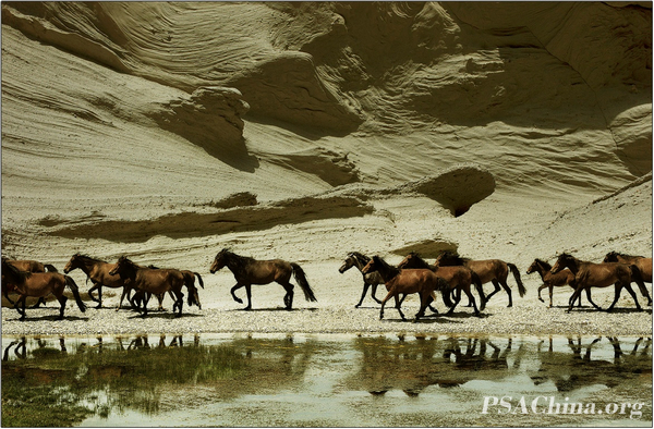 07.ƷӡCavalry.jpg