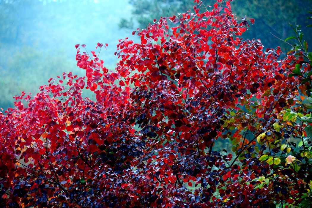 DSC_12.jpg