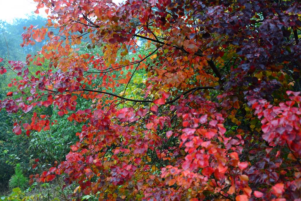 DSC_010.jpg
