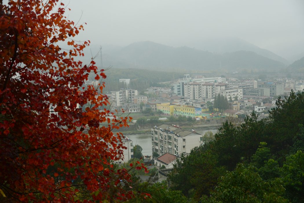 DSC_003.jpg