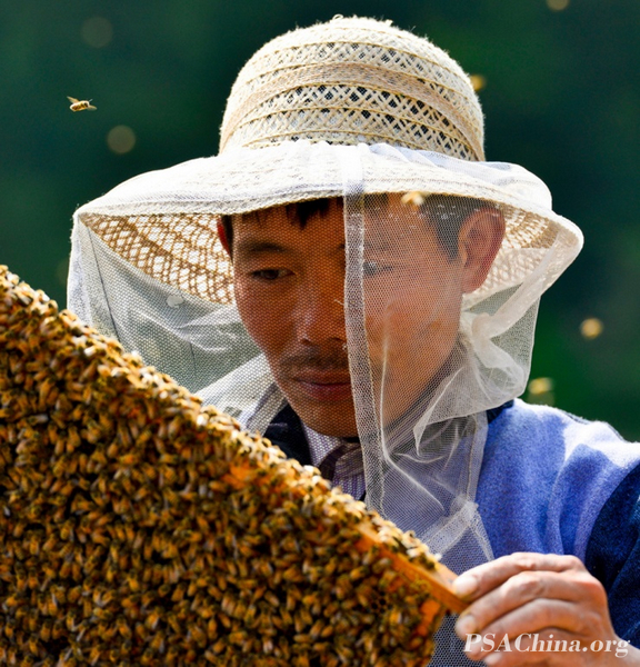 07.־ƷˡBeekeepers.jpg