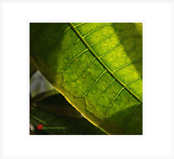 Ƭ 022.jpg