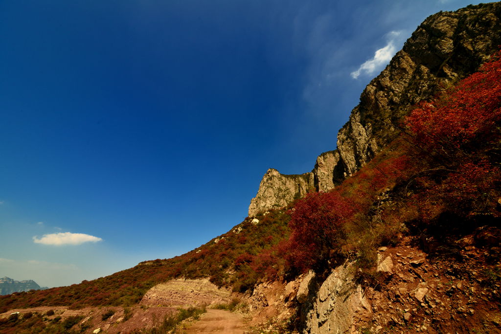 DSC_1489_.jpg