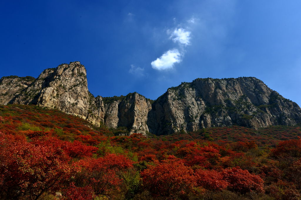 DSC_1506_.jpg