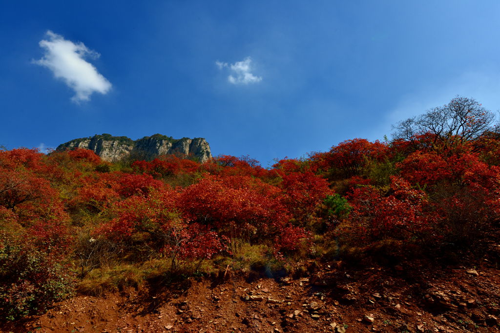 DSC_1515_.jpg