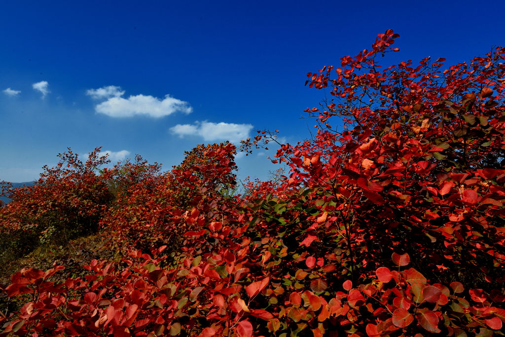 DSC_1524_.jpg