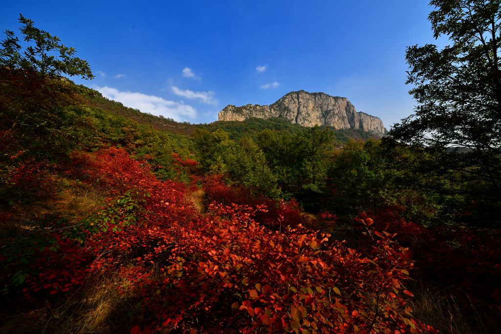 DSC_1599_.jpg
