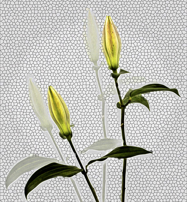 DSC_0043PMPm2p2mx.jpg