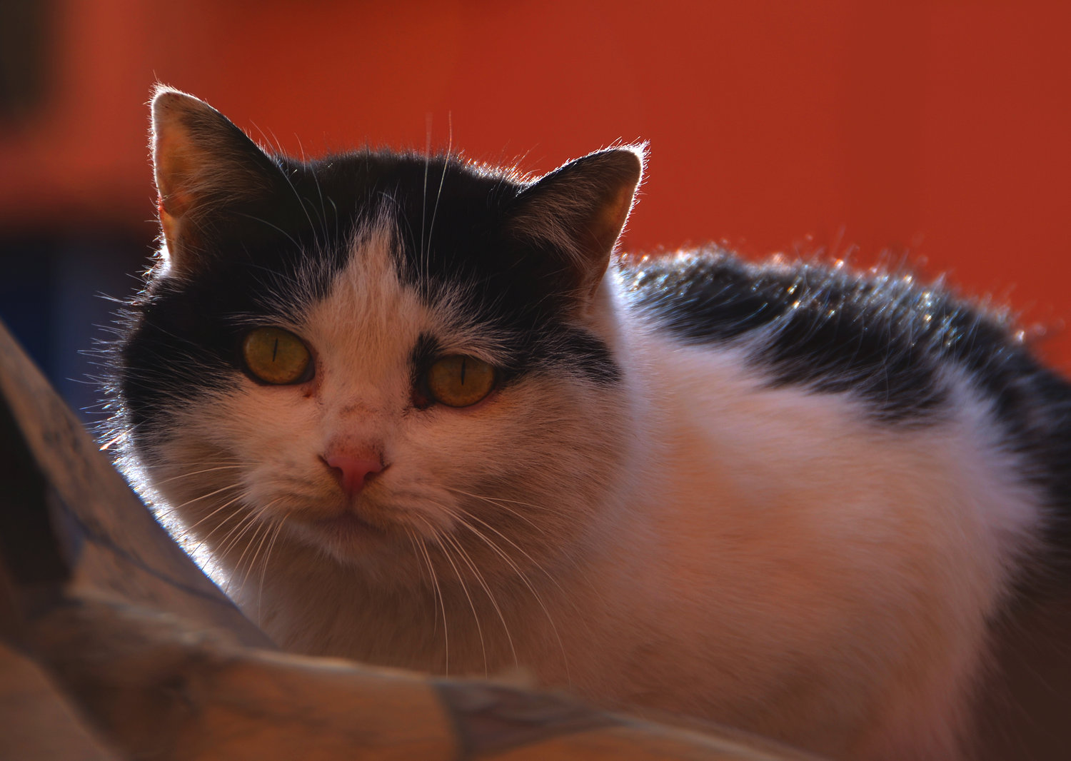 DSC_6710.jpg