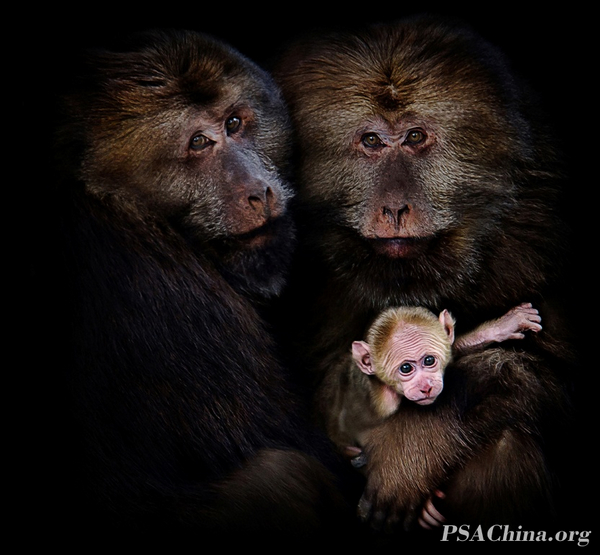 01.ѧYCCPͭƷͥFAMILY.jpg
