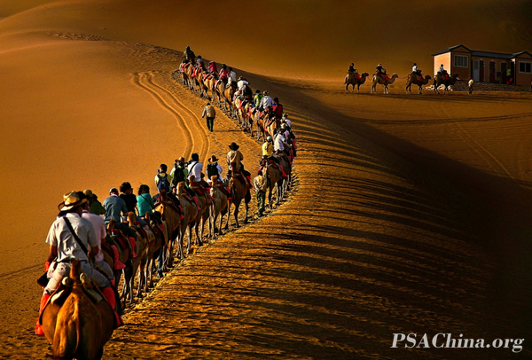 01.ѧPSAƷɳĮ塷 DESERT CAMEL BELL.jpg