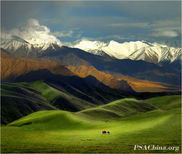 02.PSAƷɽԭ Tianshan Grassland.jpg