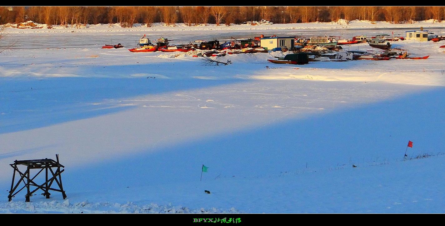 DSC02660_conew1.jpg