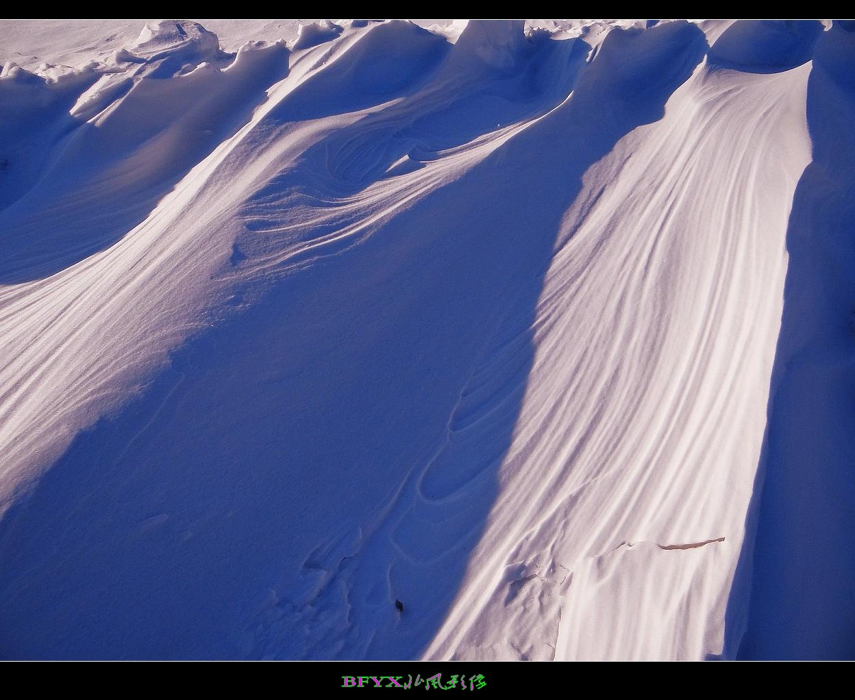 DSC02575_conew1.jpg