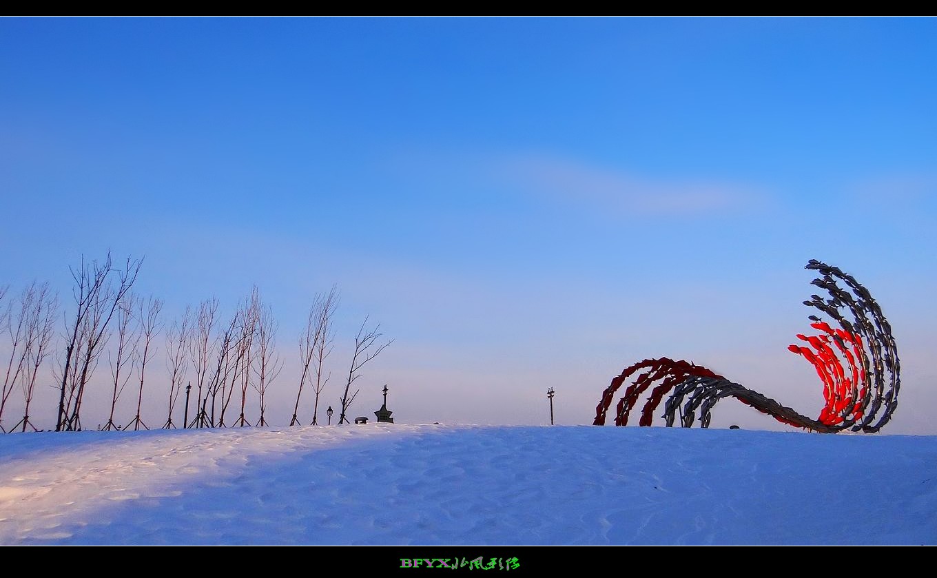 DSC02686_conew1.jpg