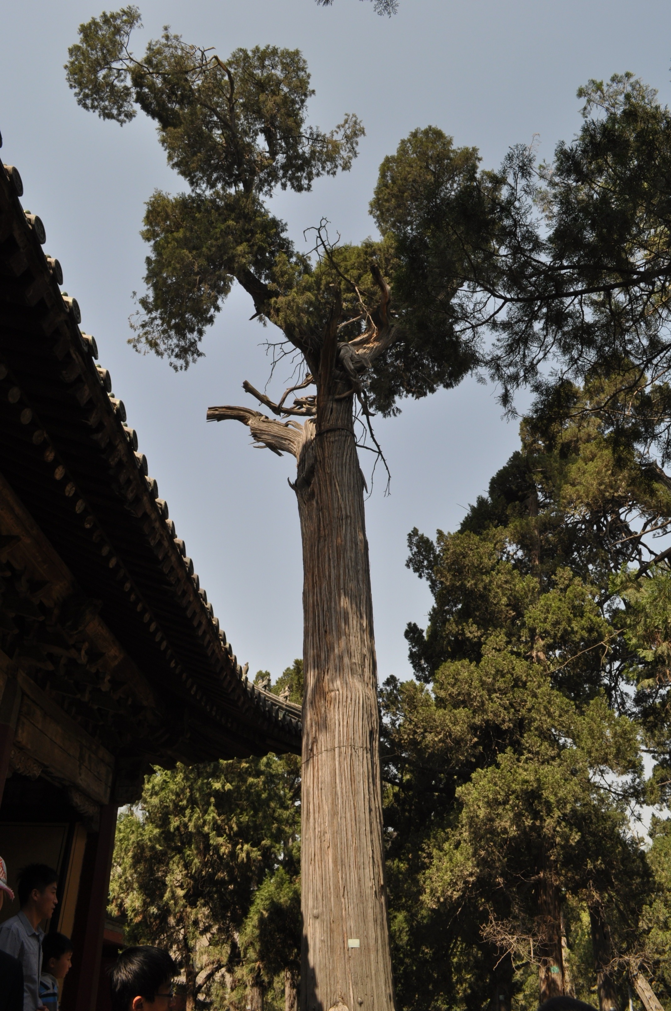 DSC_0143.JPG