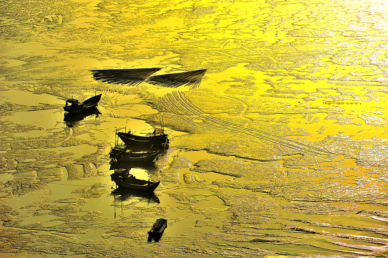 DSC_5431.JPG