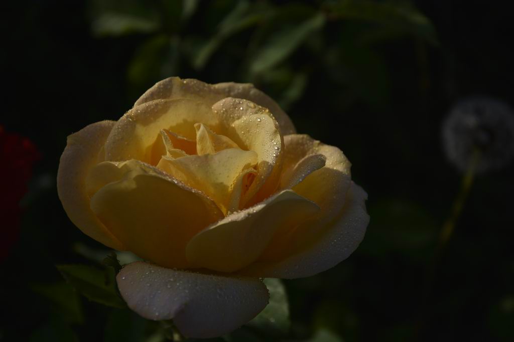 ͹㳡 063a.jpg