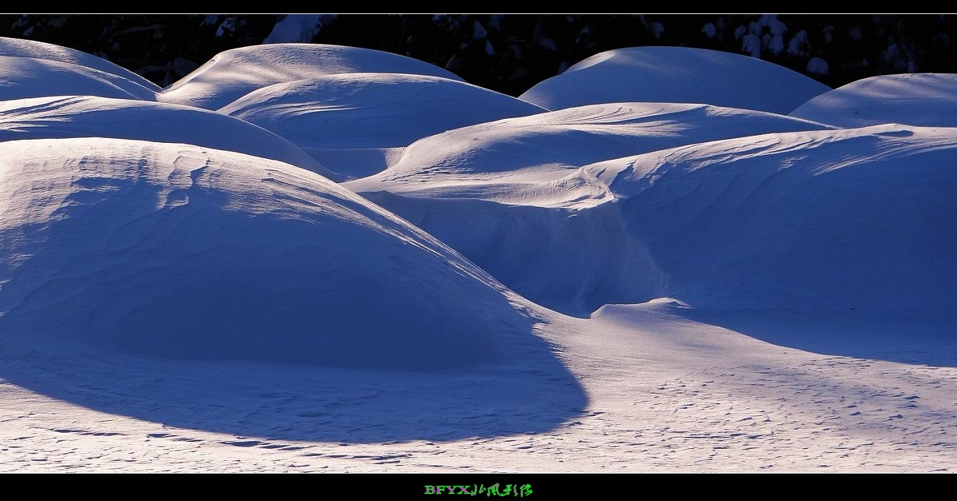 DSC02939_conew1.jpg