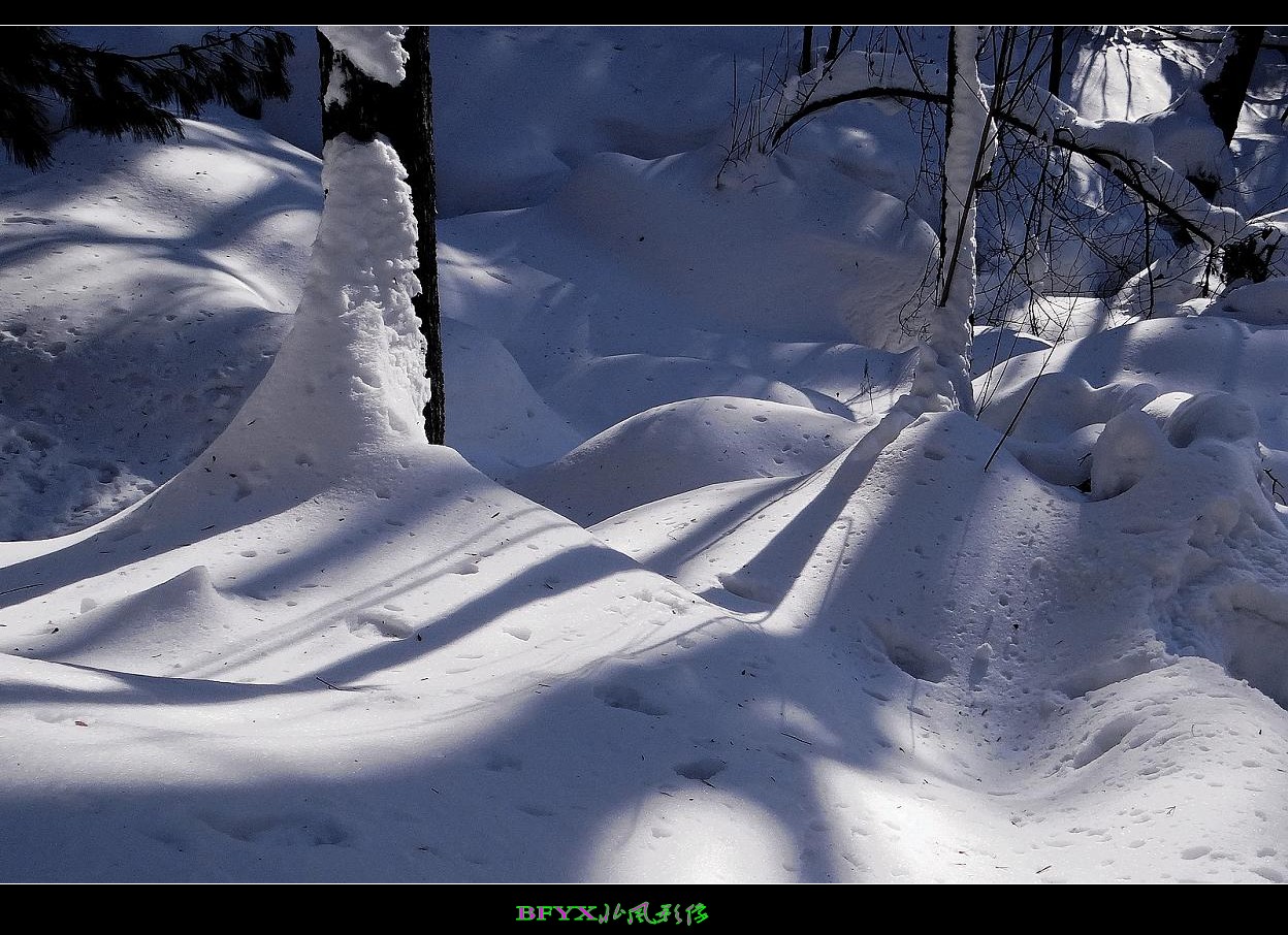 DSC02844_conew1.jpg