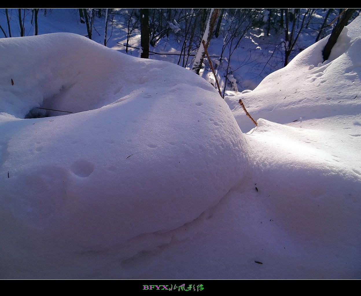 DSC02811_conew1.jpg