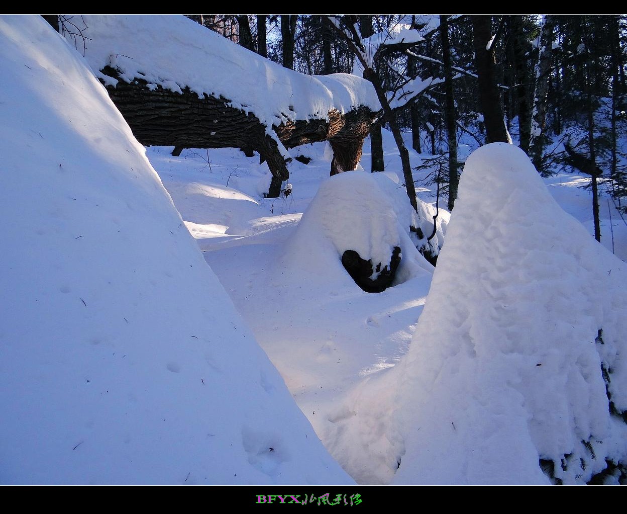 DSC02871_conew1.jpg