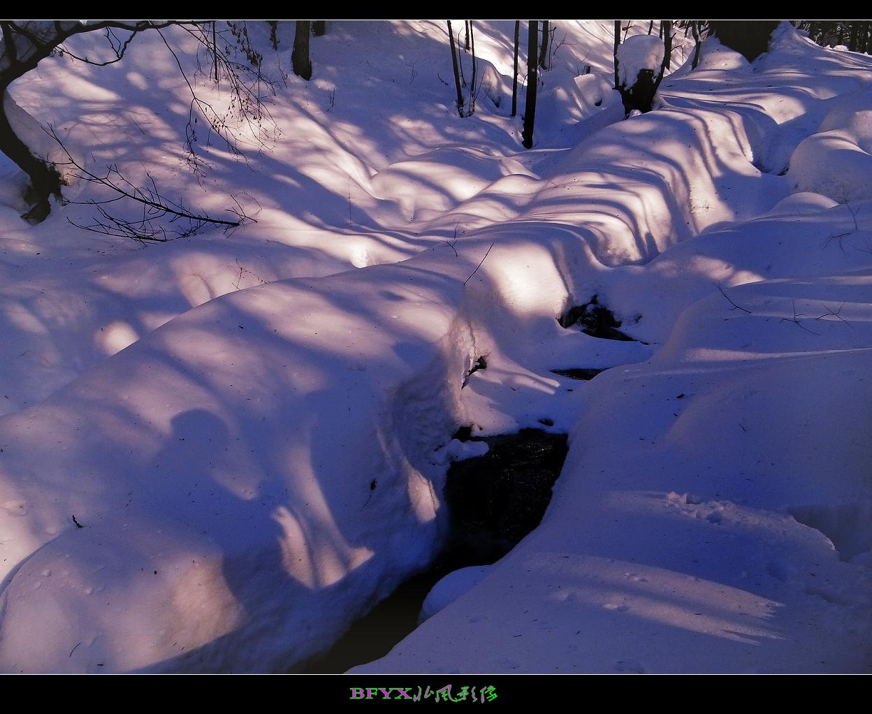 DSC02747_conew1.jpg
