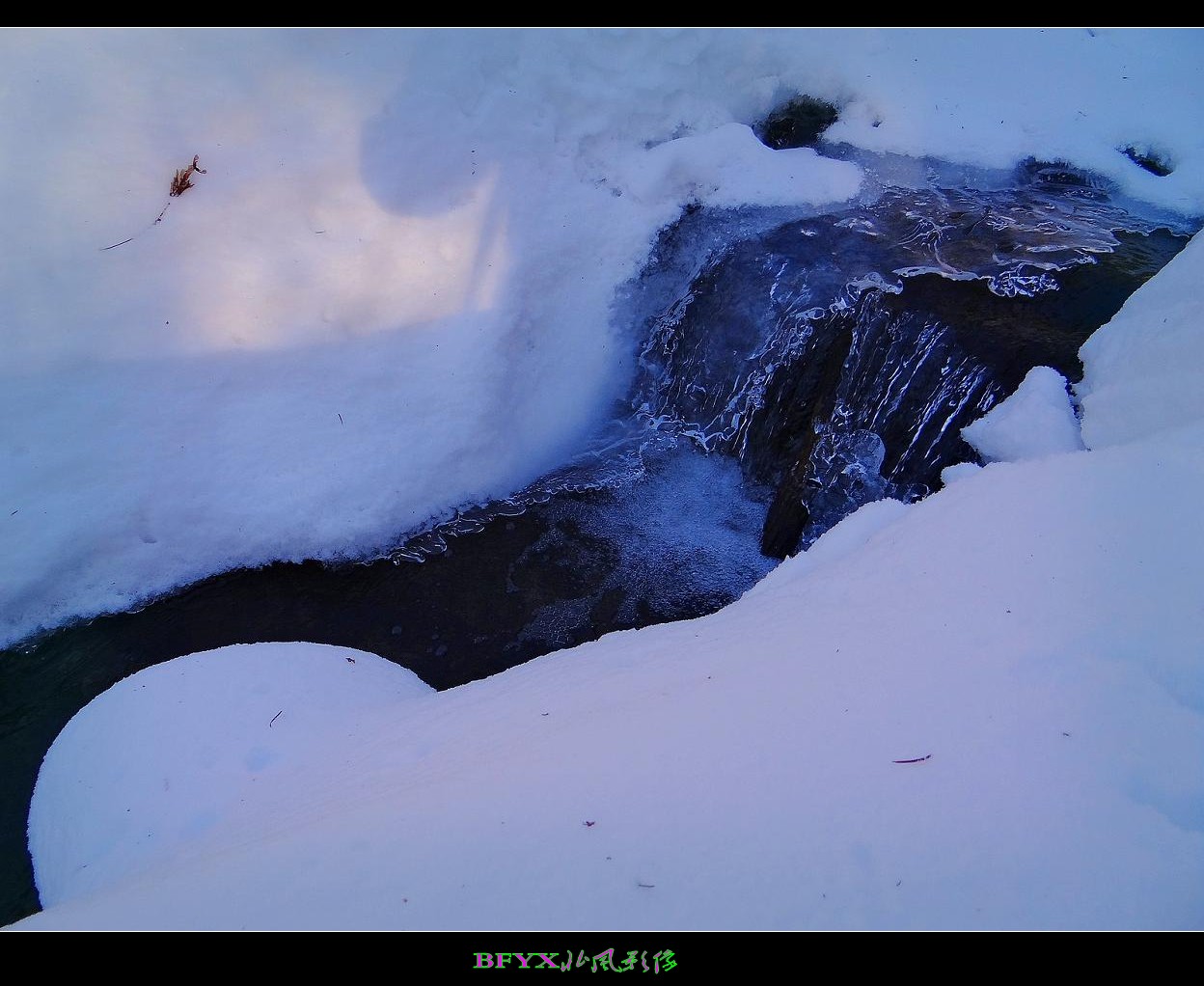 DSC02884_conew1.jpg