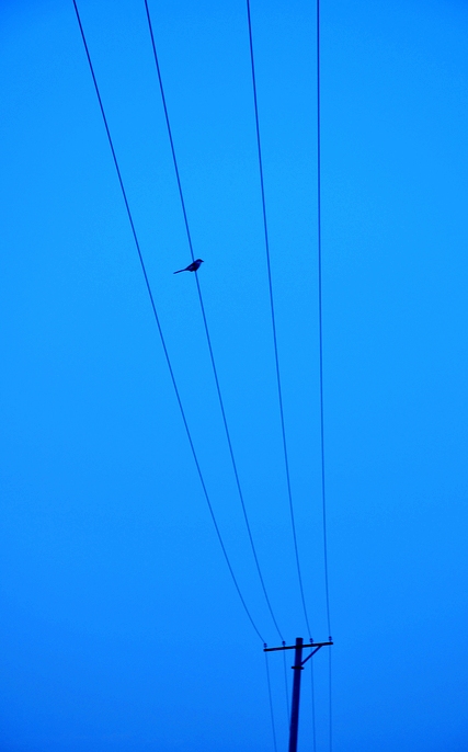 DSC_0265.JPG