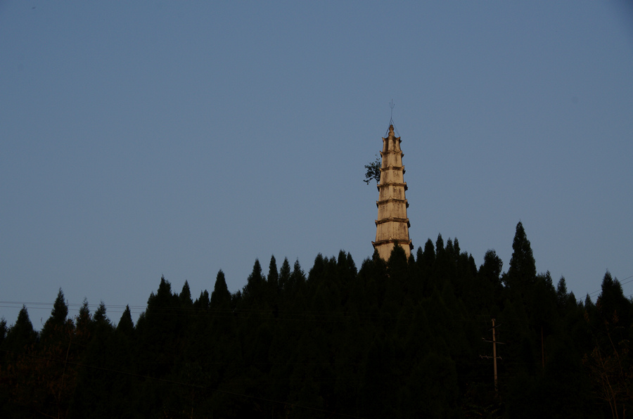 879.jpg