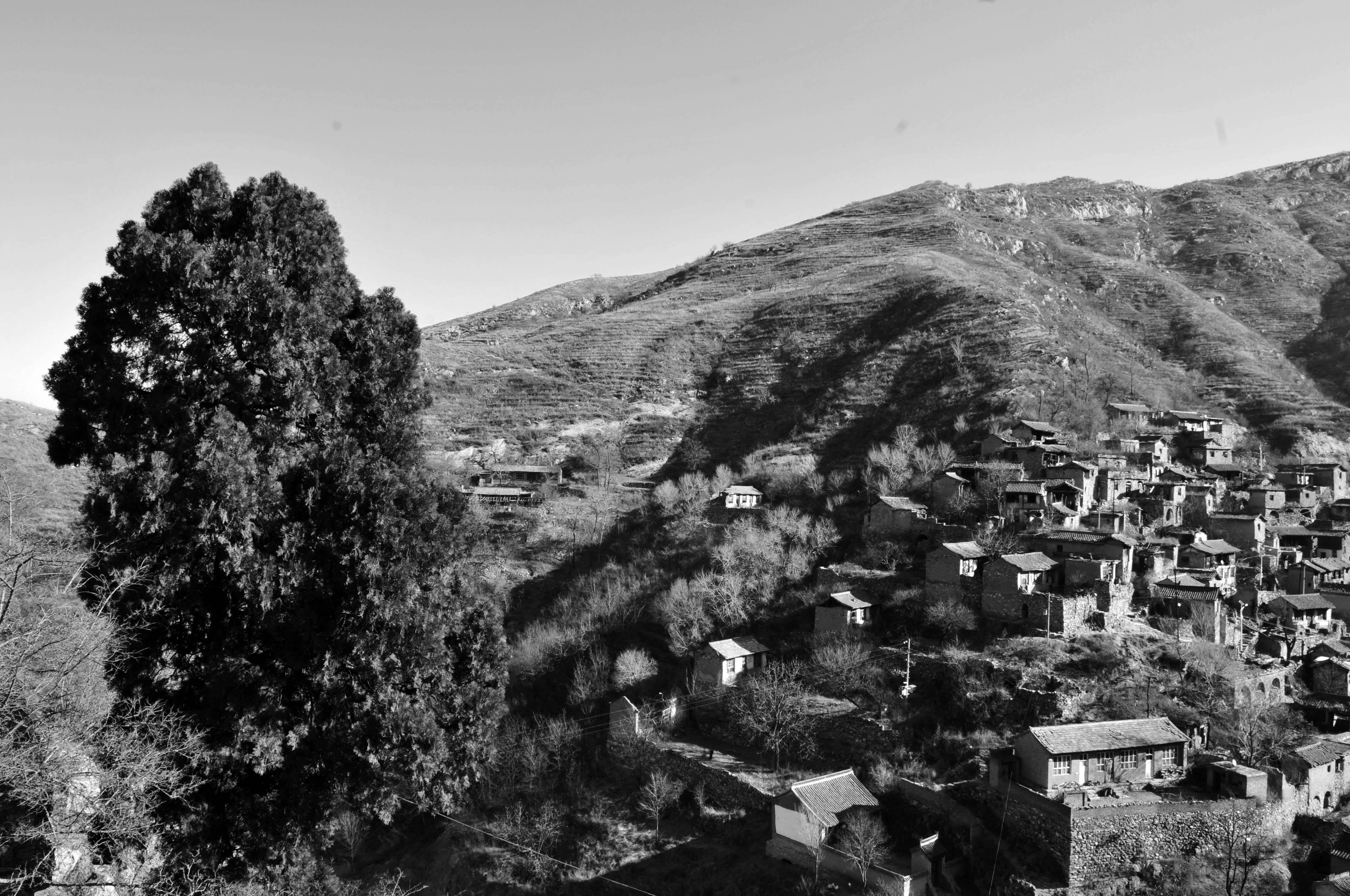 DSC_2965.JPG