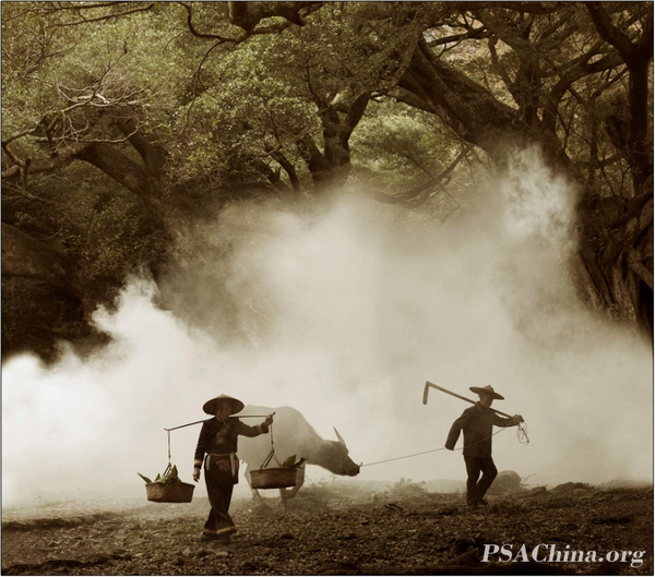 03.FIAPͭƷ顷 Coming home.jpg