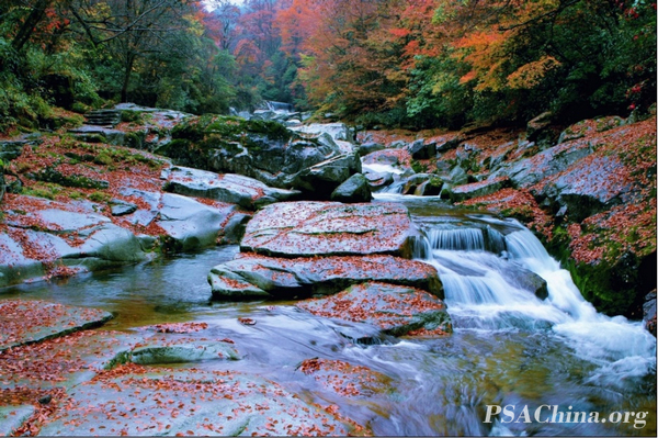 09.VNUSPA練ƷĴɽɫGuangwushan Autumn.jpg