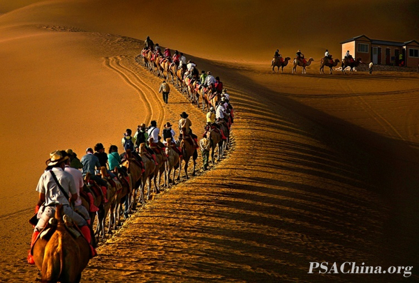 01.ѧSPMͭƷɳĮ塷DESERT CAMEL BELL.jpg