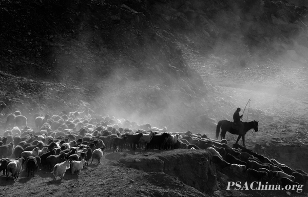 02.Ա¾HPSCƷ(GRAZING).jpg