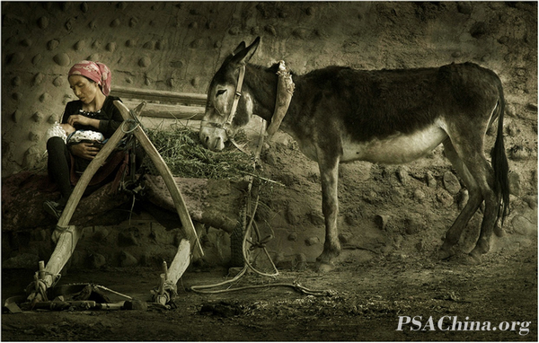 06.Ա30㽱ƷЪ(Jehiel).jpg