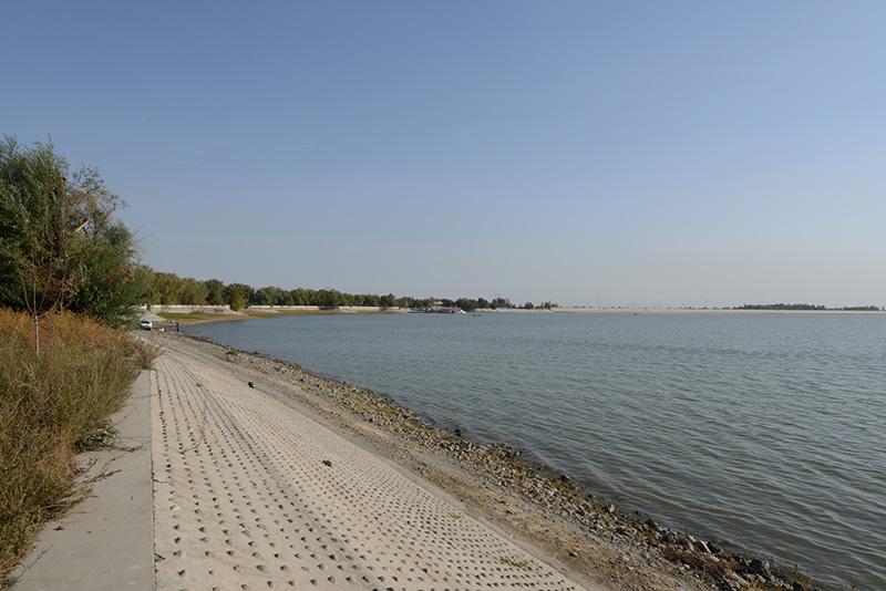 DSC_4822.JPG
