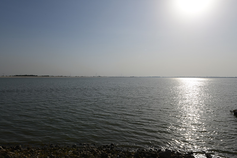 DSC_4823.JPG