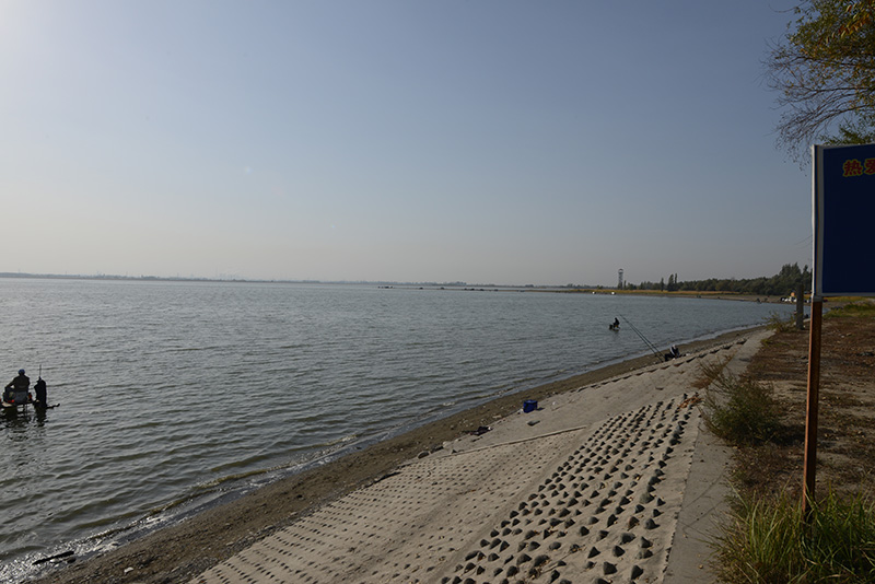 DSC_4825.JPG